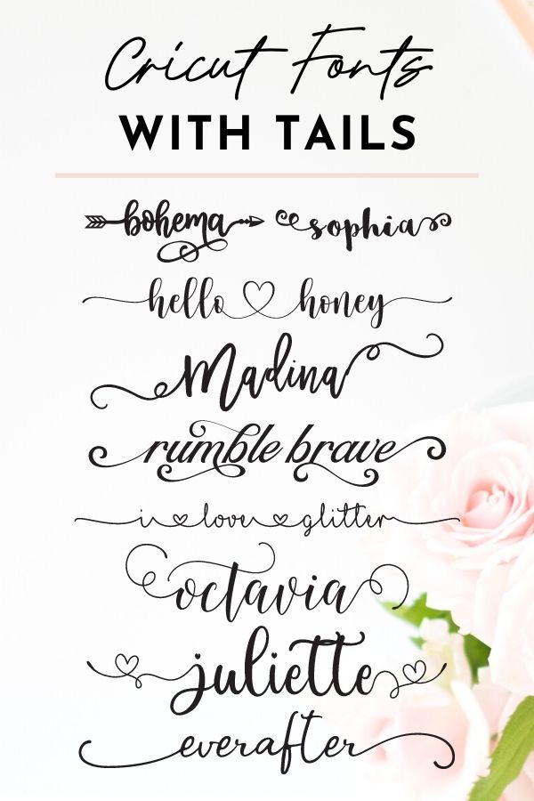 16 Best Fonts with Tails and Swashes (+ Free Cricut Picks!)