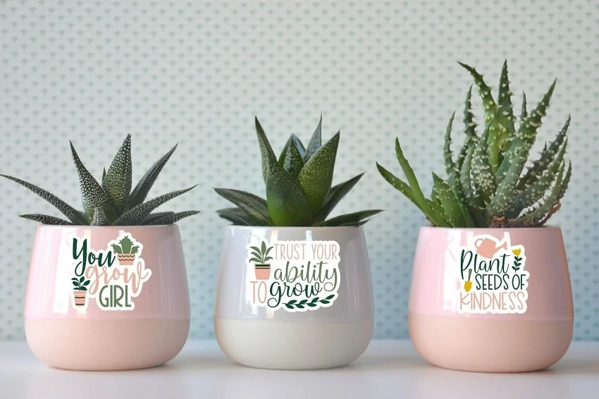 cricut sticker ideas - Plant Stickers