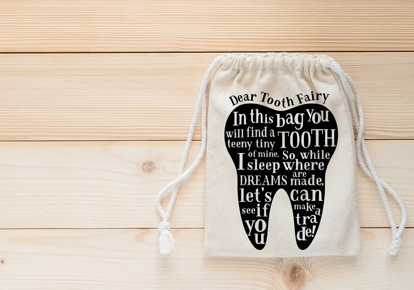 tooth fairy bag made with cricut for kids