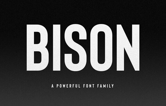Bison bold condensed font