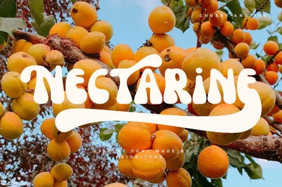 Nectarine cute bold font
