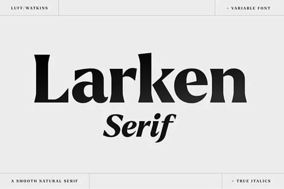 Larken serif font