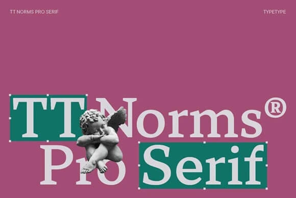 TT Norms Pro Serif font