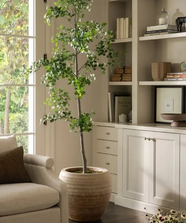 White built-in cabinets with tall indoor tree and styled shelving in modern living room
