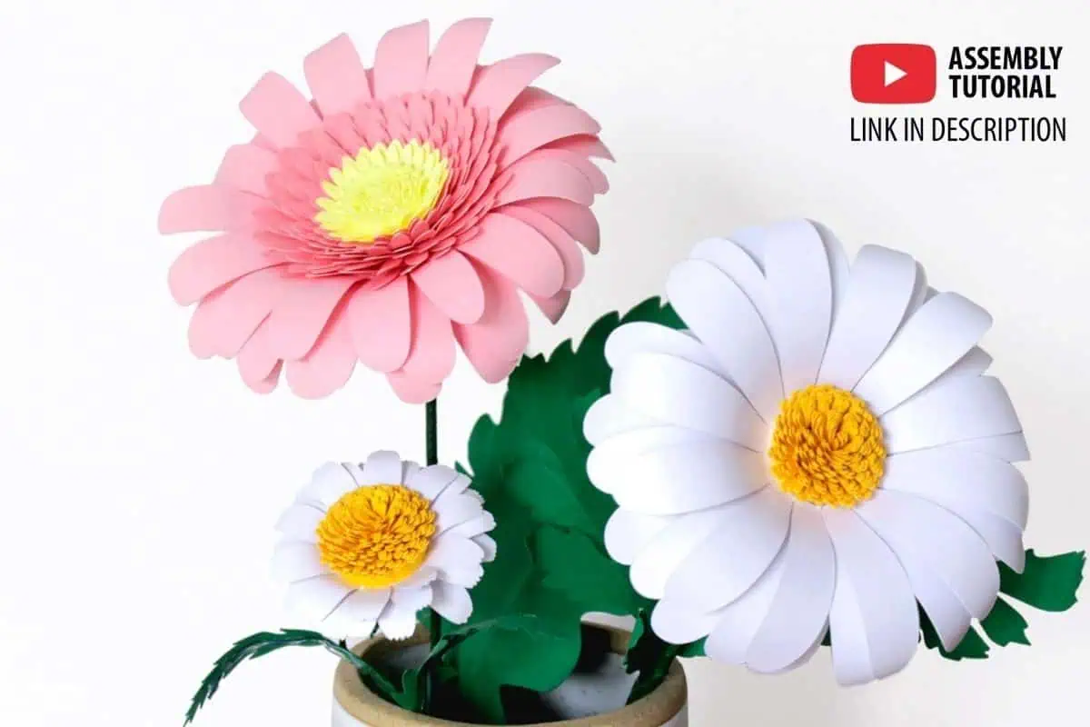 large white and pink paper daisies with yellow centers and green leaves