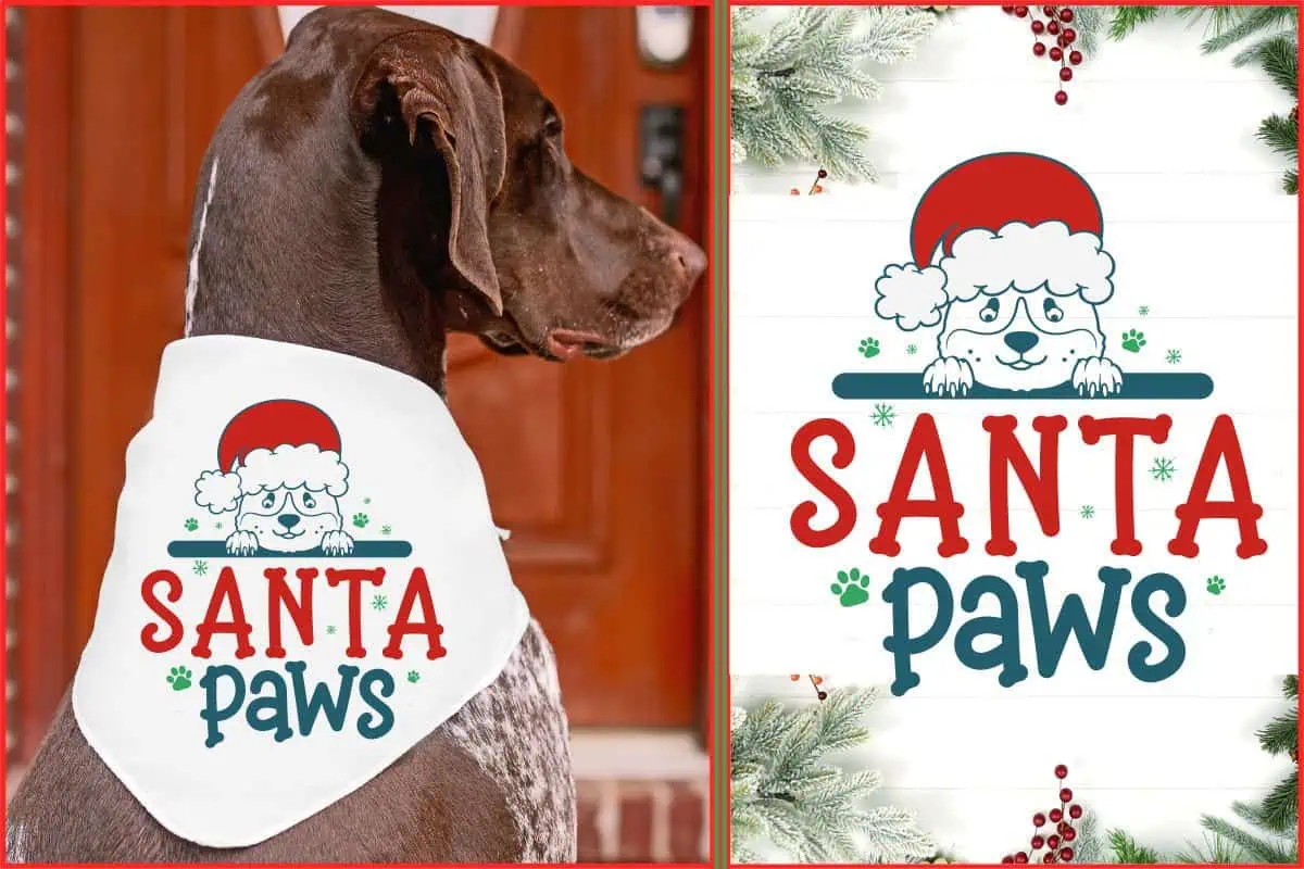 dog wearing a white bandana with a Santa Paws design