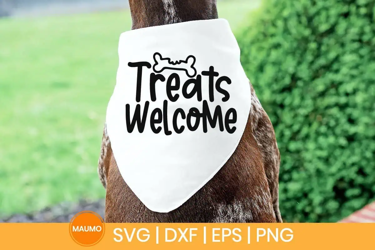 white dog bandana that says treats welcome with a bone