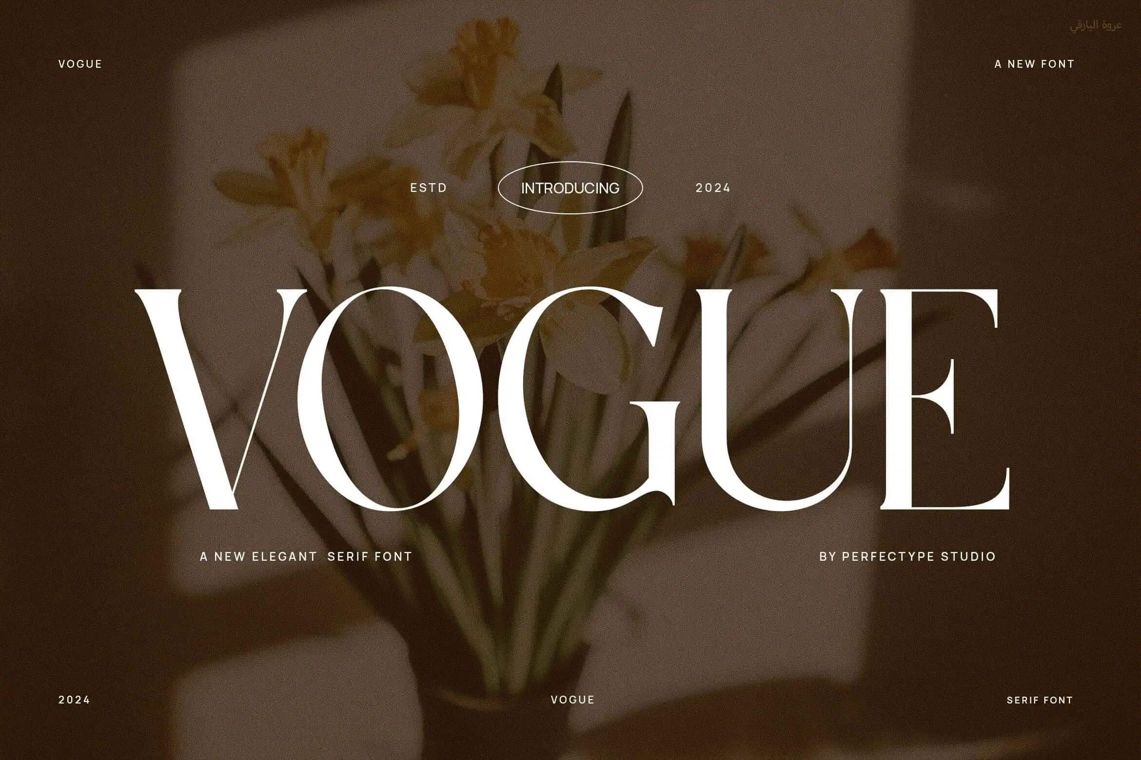 Vogue font preview from Creative Fabrica